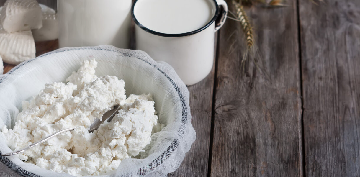 Cottage cheese sans lactose