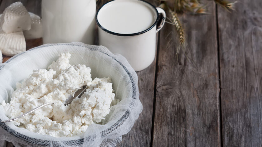 Cottage cheese sans lactose