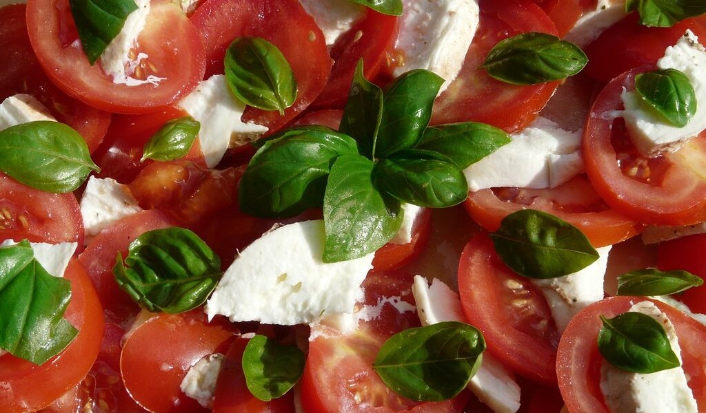 mozzarella sans lactose