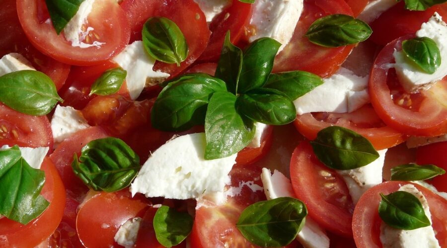 mozzarella sans lactose
